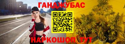 индика Заволжье