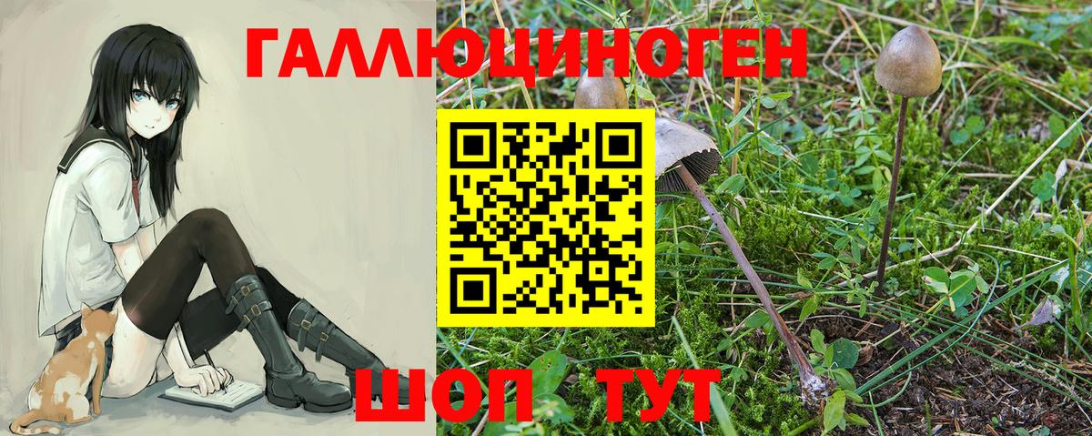 Псилоцибиновые грибы Magic Shrooms  Вход с VPN  Галлюциногенные грибы GOLDEN TEACHER  Мичуринск 