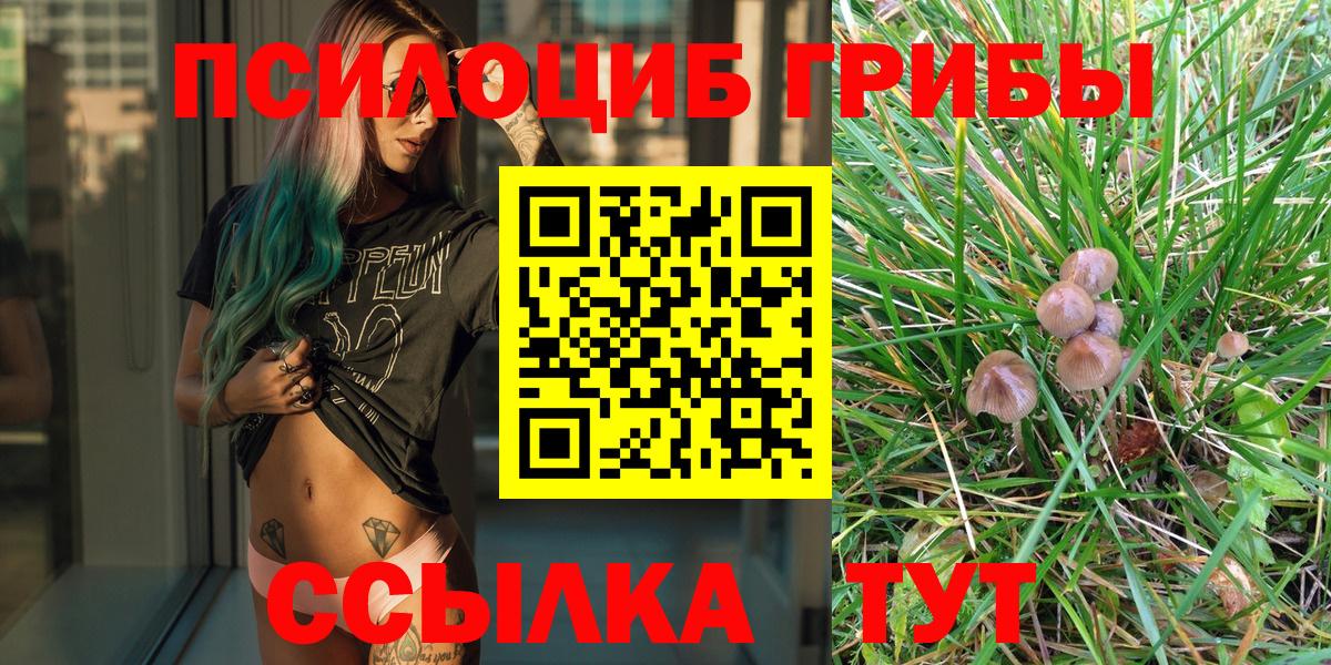 Галлюциногенные грибы MAGIC MUSHROOMS Мичуринск